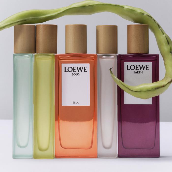 A fresh, modern look for Loewe's Botanical Rainbow